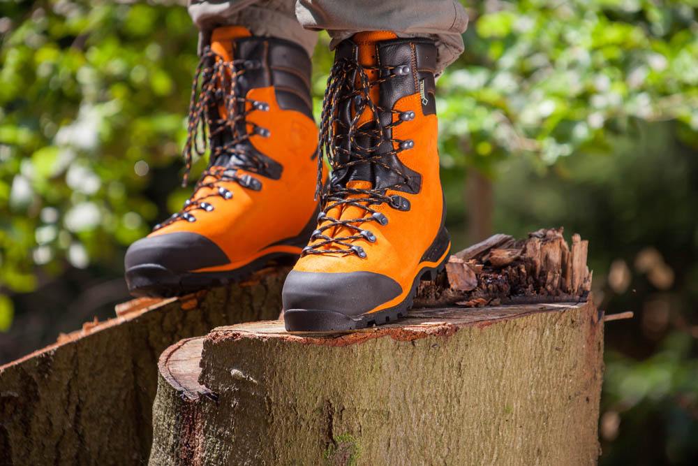 603101_protector-forest_ora_act03 603101_protector-forest_ora_act0301910